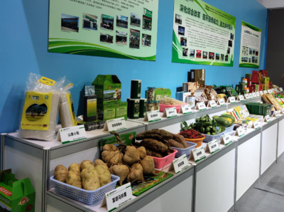 第七届江门市农业博览会今日盛大开幕，特色农产品与现代农业技术交相辉映